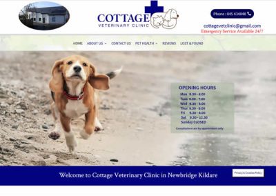 Cottage Veterinary Clinic Co Kildare