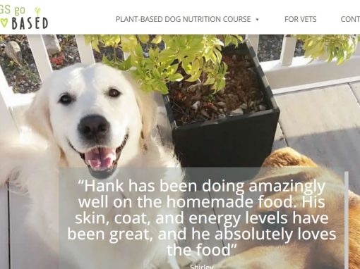 Dogs Go Plant-Based For Vets
